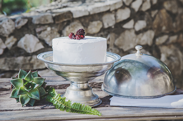 wedding-ideas-with-succulents-wedding-cake-berries