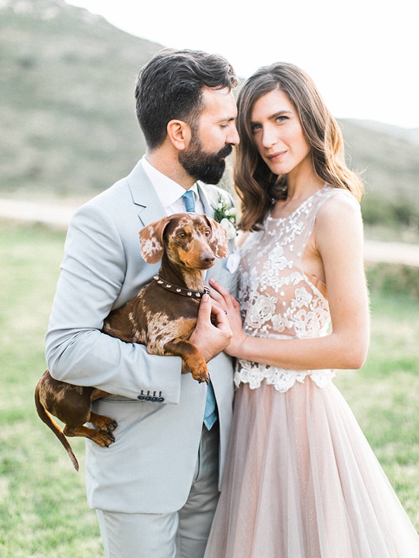 pets-weddings-how-include-them-5.