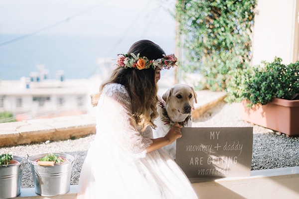 Pets at weddings | How to include them