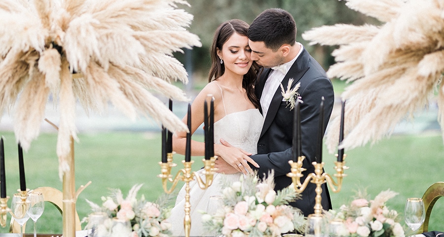 Decorative Coral Pampas Grass